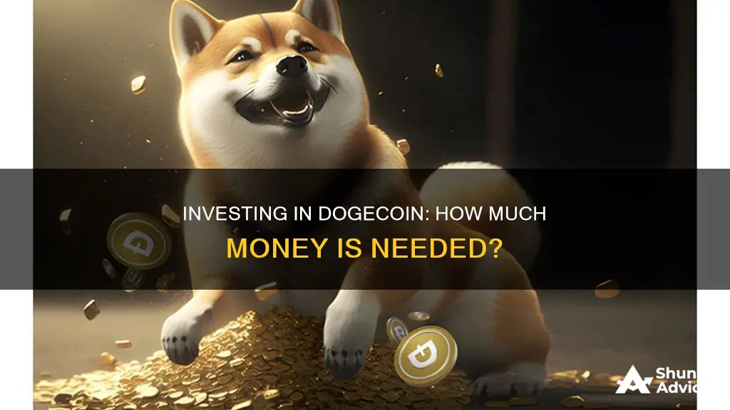 how much money do I need to invest in dogecoin