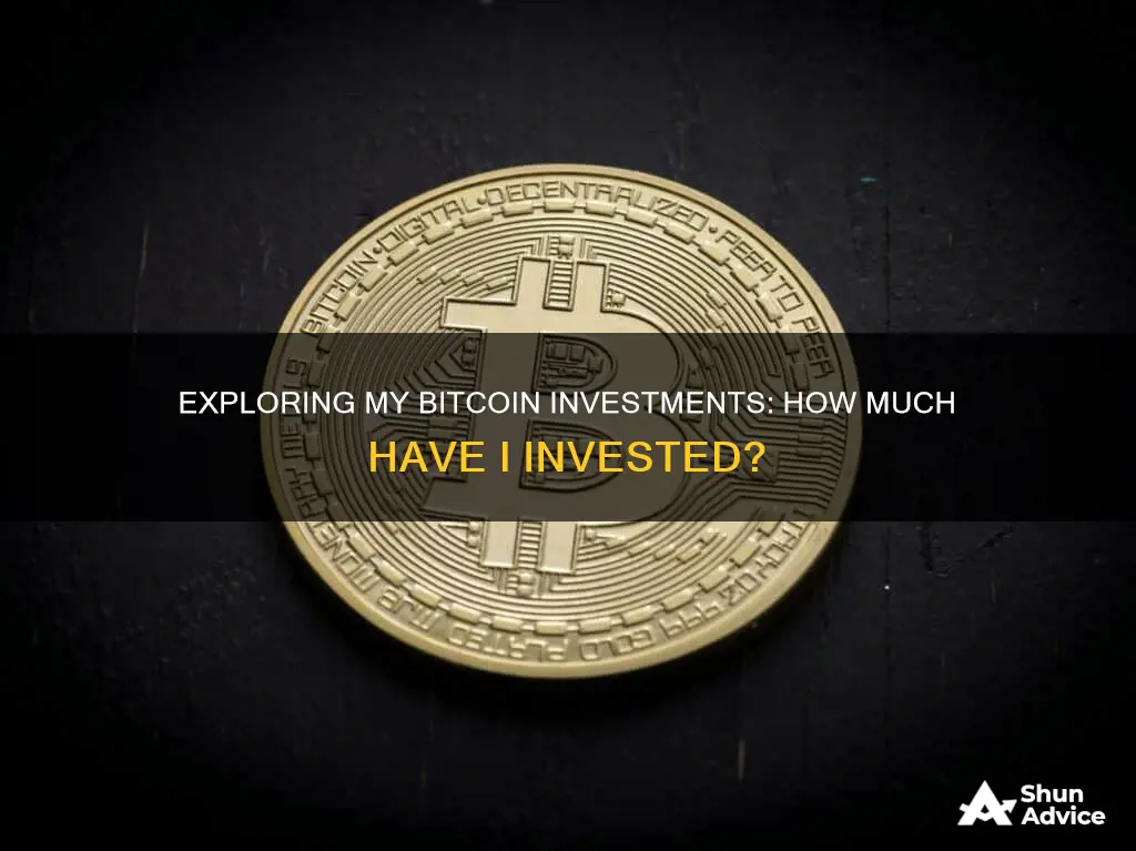 how much money do you have invested in bitcoin