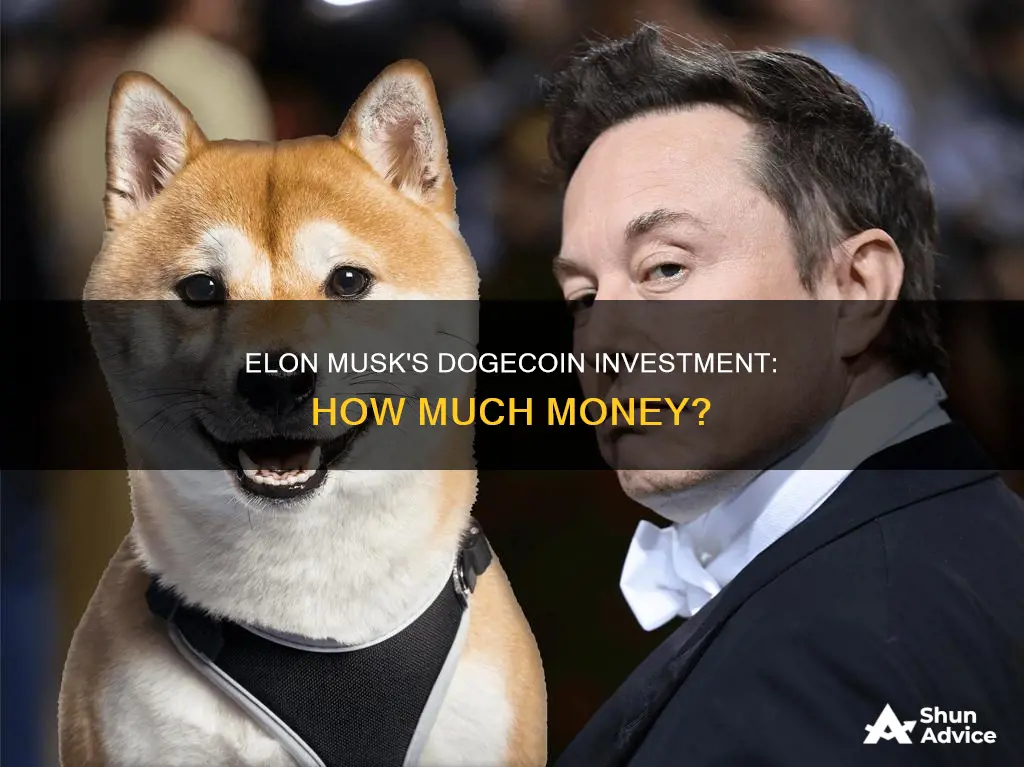 how much money does elon musk have invested in dogecoin