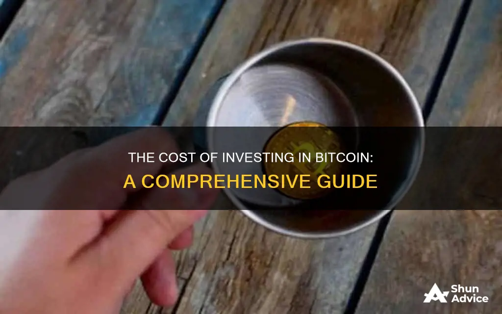 how much money does it cost to invest in bitcoin