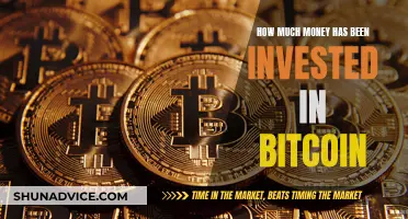 Billions Invested in Bitcoin: How Much and By Whom?