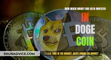 Tracking the Doge Coin Investment Craze