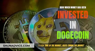 Tracking Dogecoin's Meteoric Rise: Investor Money Flows