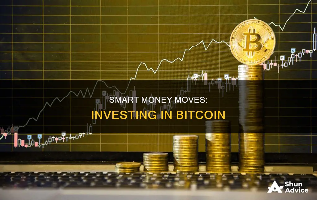 how much money if invested in bitcoin