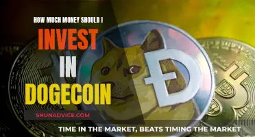 Dogecoin Investment Strategies: How Much Money to Invest?