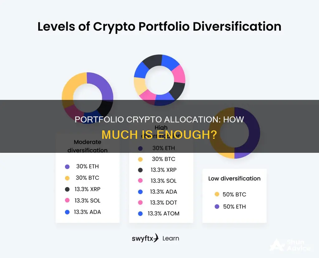 how much of your investment portfolio should be in crypto