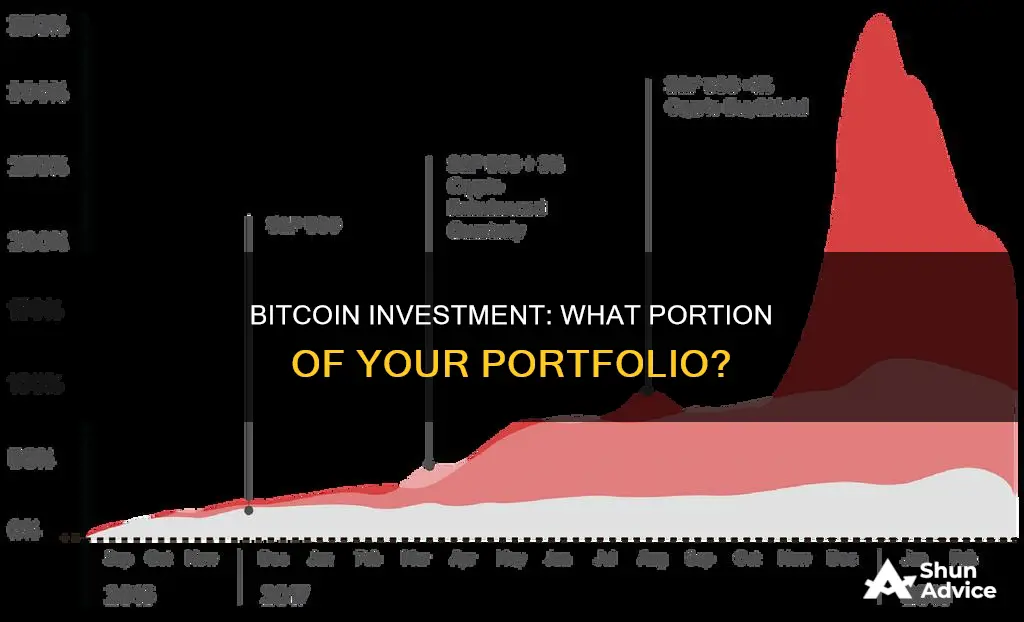 how much of your portfolio to invest in bitcoin