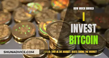 Strategic Bitcoin Investments: How Much to Invest?