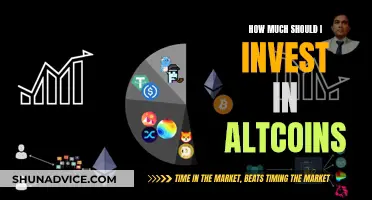 Altcoin Investment: How Much is Sensible?