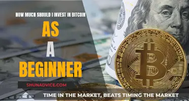 A Beginner's Guide to Bitcoin: How Much to Invest?