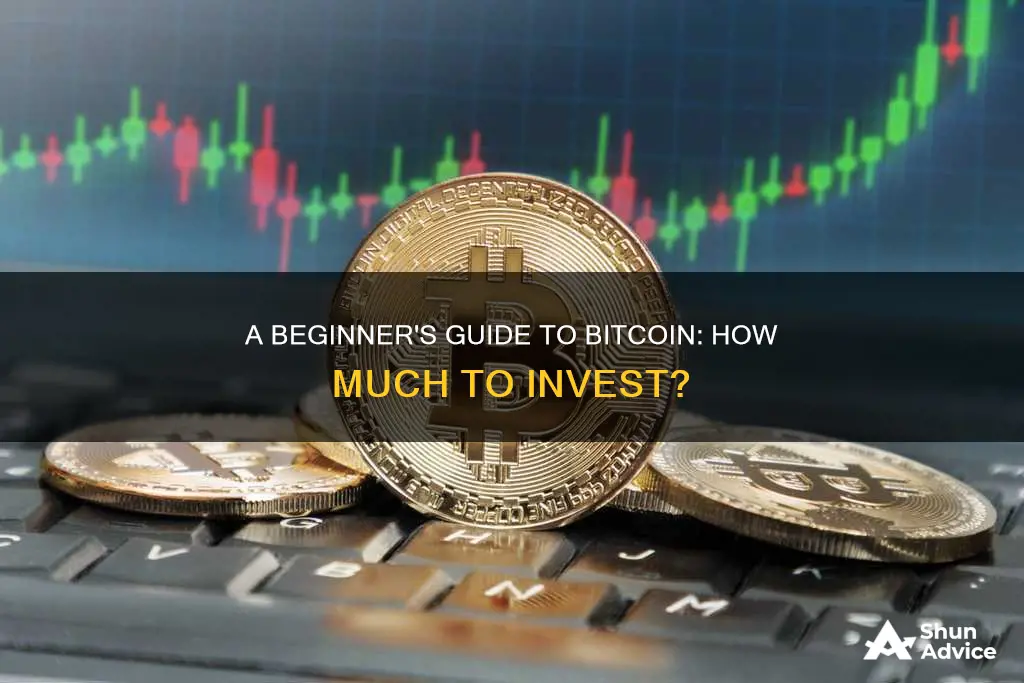 how much should I invest in bitcoin as a beginner