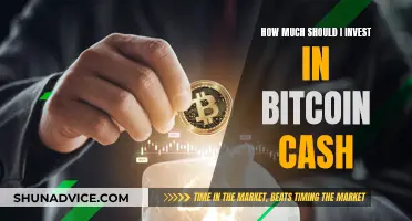 Strategic Bitcoin Cash Investment: How Much is Enough?