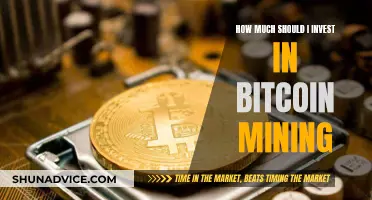 Bitcoin Mining: How Much Should You Invest?