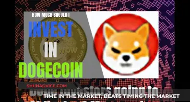 Dogecoin Investment: How Much Money Should You Risk?