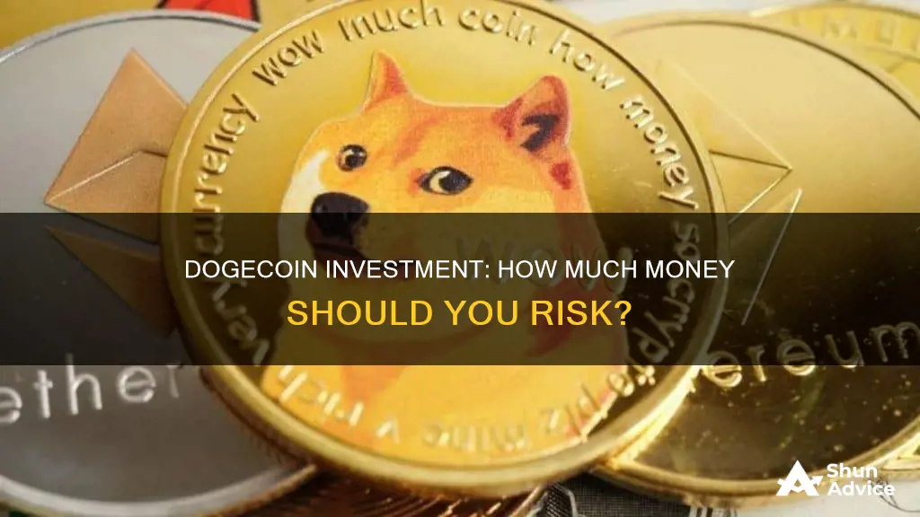 how much should I invest in dogecoin