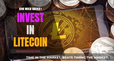 Litecoin Investment Strategies: How Much to Invest?