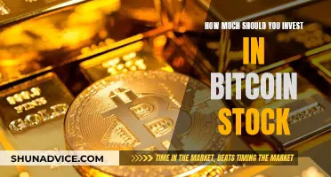 Smart Bitcoin Stock Investment Strategies for Beginners