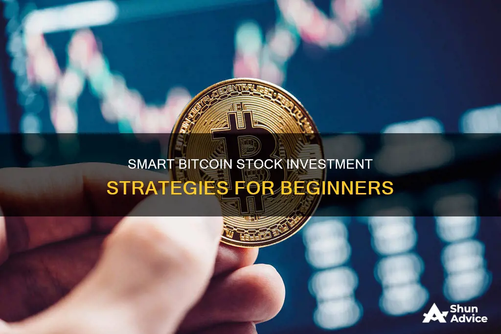 how much should you invest in bitcoin stock