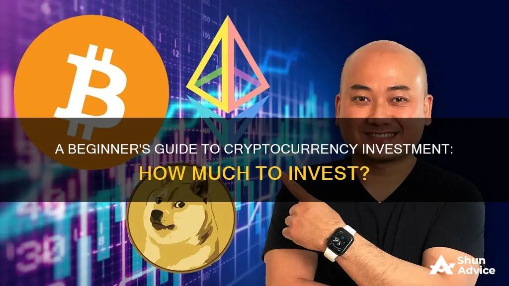 how much should you invest in cryptocurrency as a beginner