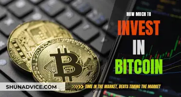 Smart Strategies for Bitcoin Investment: How Much to Invest?