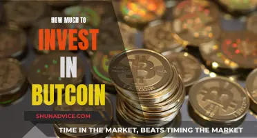 Smart Strategies for Bitcoin Investment: How Much to Invest?