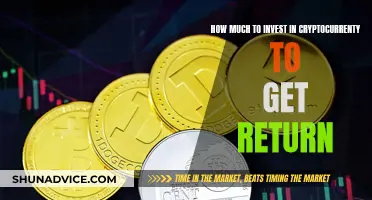 Investing in Cryptocurrency: How Much to Gain Returns?