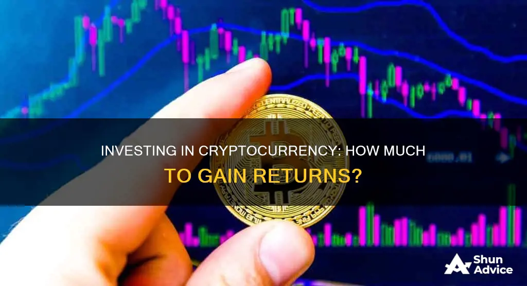 how much to invest in cryptocurrenty to get return