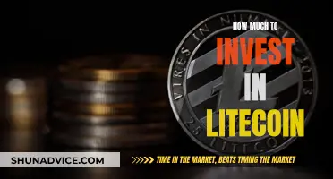 Litecoin Investment: How Much Should You Invest?