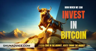 Smart Bitcoin Investment: How Much Should You Invest?