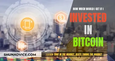 Bitcoin Investment Returns: How Much Can You Make?