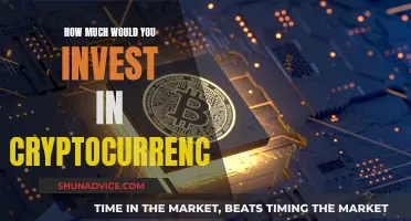 Strategizing Your Cryptocurrency Investment: How Much to Invest?