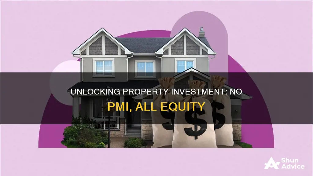 how mych equity for investment poperty with no pmi