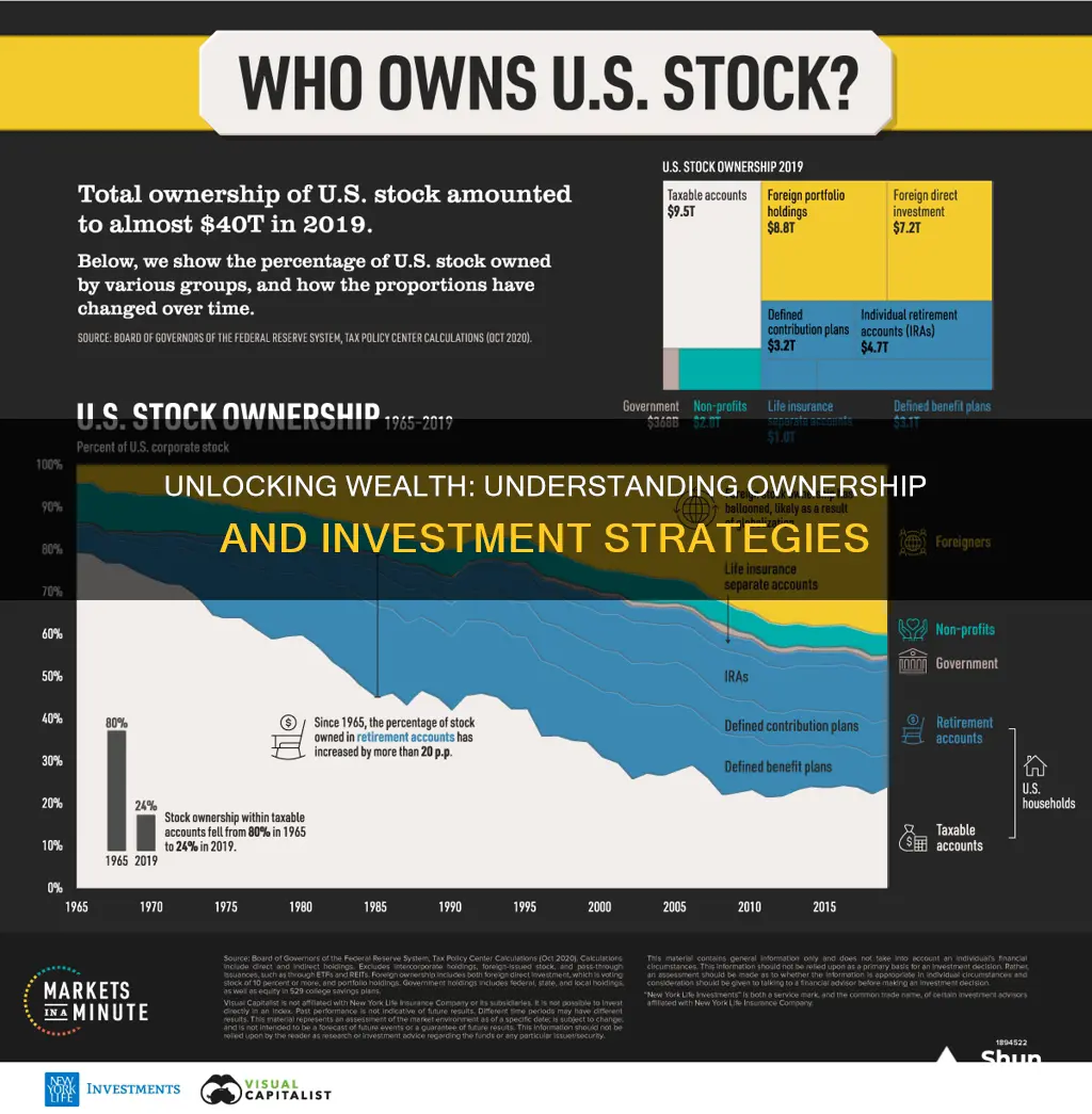 how ownership and investment works