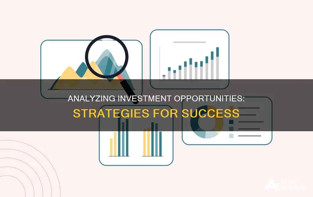 how people analyze investment opportunities