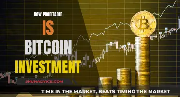 Bitcoin Investment: Is It a Profitable Venture?