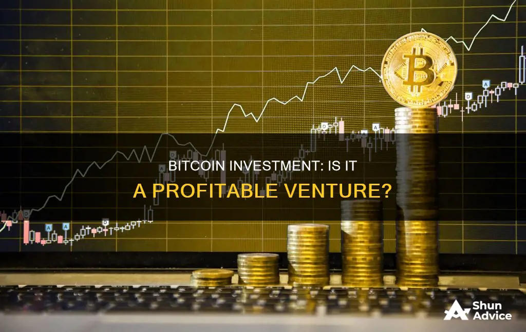 how profitable is bitcoin investment