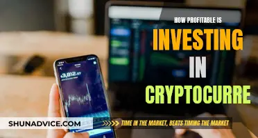 Cryptocurrency Investment: Profits and Potential