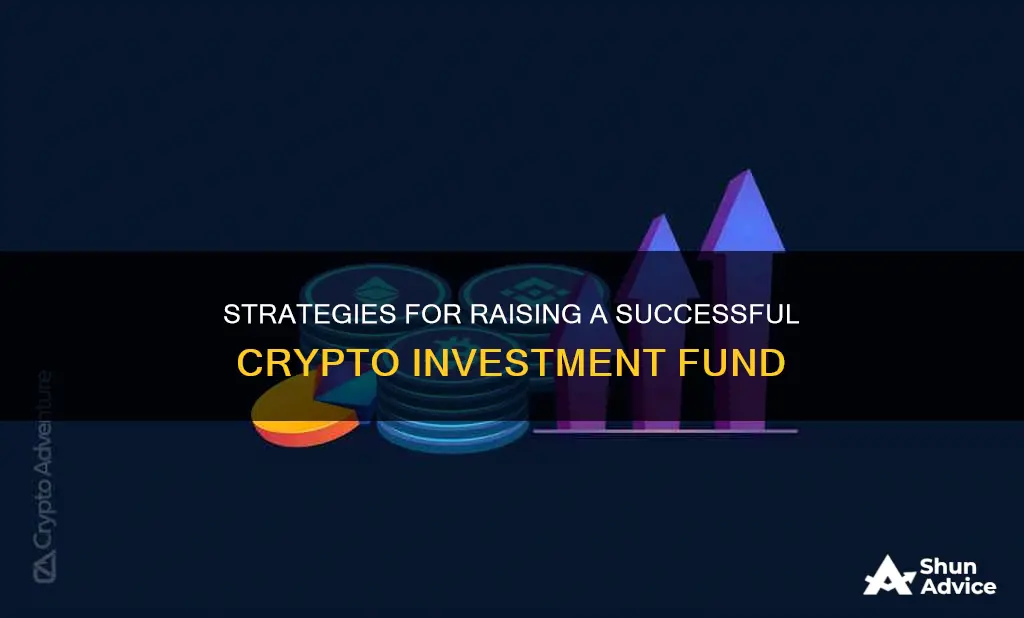 how raise a crypto investment fund