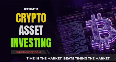 Crypto Asset Investing: Risky Business?