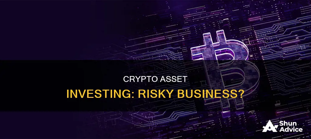 how risky is crypto asset investing