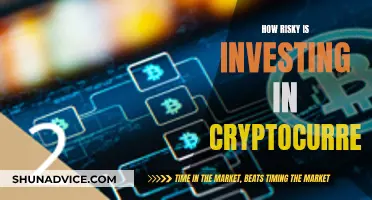 Cryptocurrency Investment: High Risk, High Reward Potential