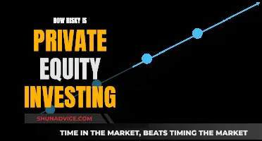 Private Equity Investing: Risks and Rewards