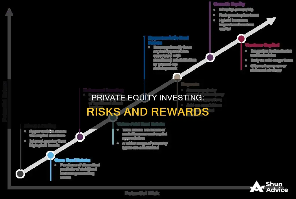 how risky is private equity investing