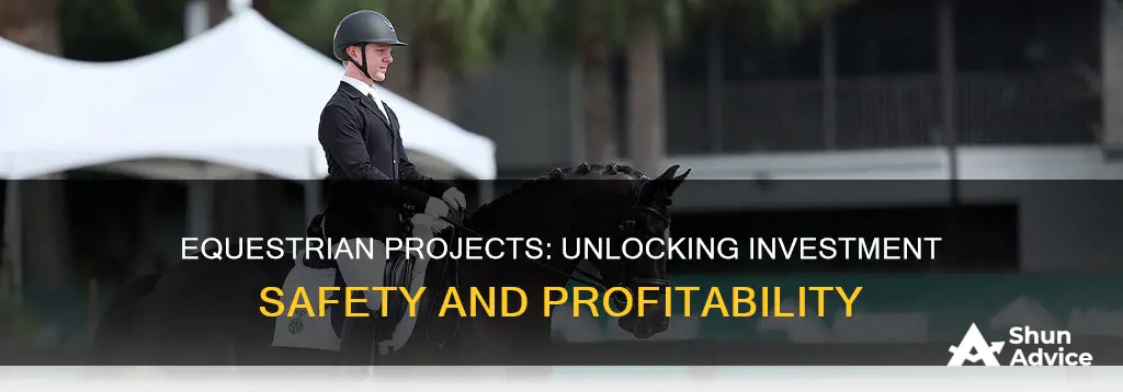 how safe are the equestrairan projects to invest