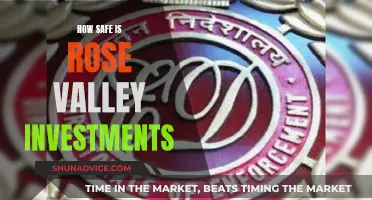 Unveiling Rose Valley Investments: A Comprehensive Safety Analysis