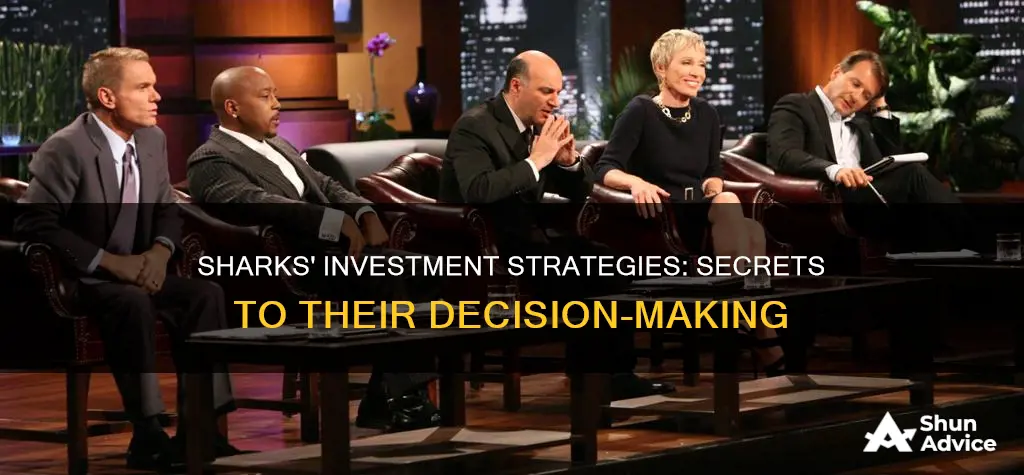 how sharks make decison on what to invest in