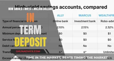 Maximizing Your Million: Strategies for Investing in Term Deposits