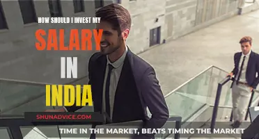 Maximizing Salary Investments: India's Best Options