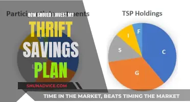 Invest Your Thrift Savings Plan: Strategies for Success