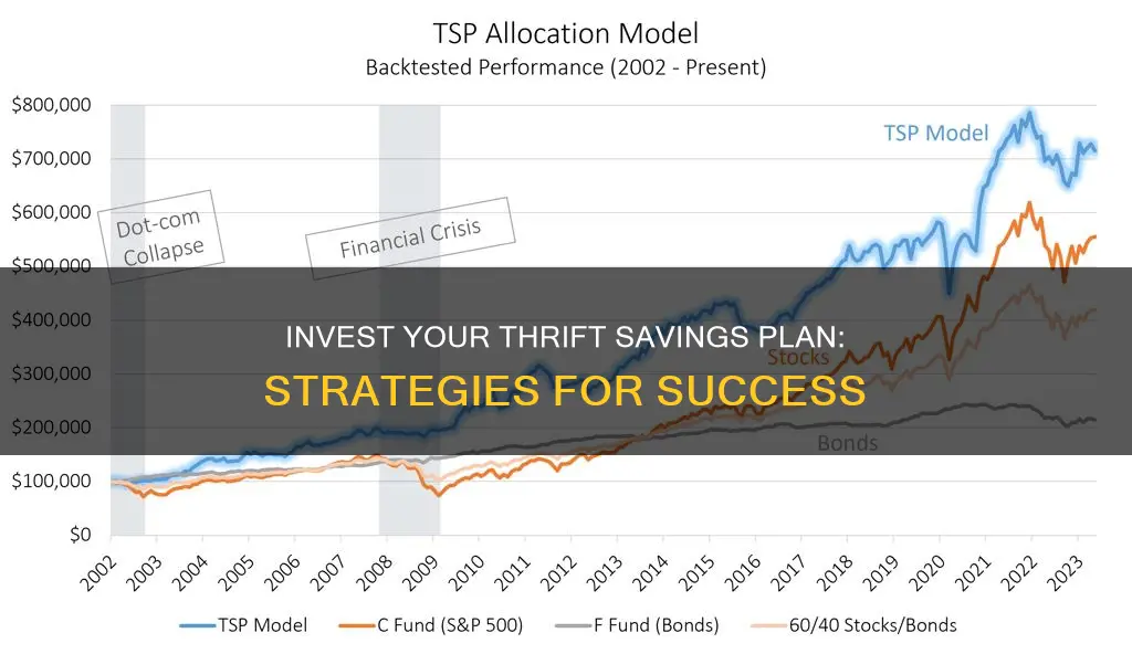 how should I invest my thrift savings plan